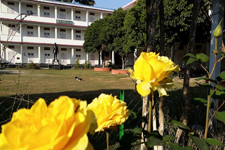 https://cache.careers360.mobi/media/colleges/social-media/media-gallery/18362/2019/4/24/Campus-view of Dr Birinchi Kumar Barooah College Puranigudam_Campus-View.png